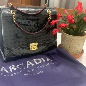 𝅺ARCADIA Handbag Black and Snakeskin Side Design with Goldtone Accents
